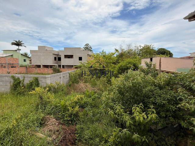 Venda em Cambolo - Porto Seguro